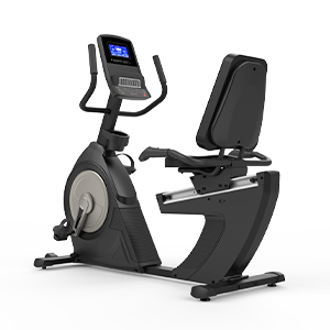 Recumbent Exercise Bike