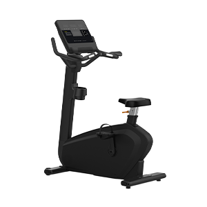 Upright Bike - TV LED