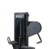 Gluteus press