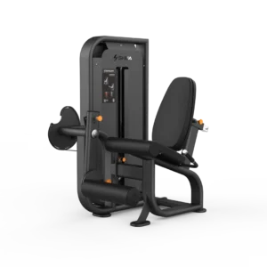 Leg Extension