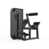 Back Extension