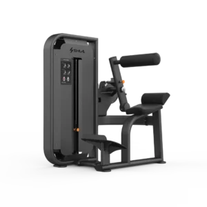 Back Extension