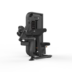 Seated Biceps Curl/Triceps Press