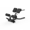 Back Extension