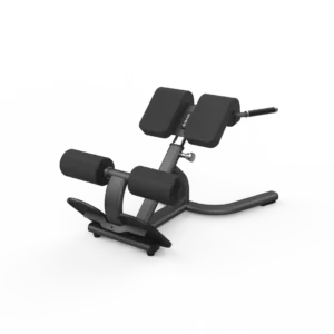 Back Extension