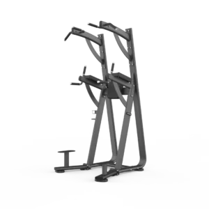 Chin Dip Leg Raise Station