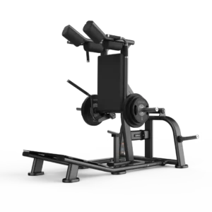 V Squat