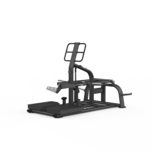 Belt Squat