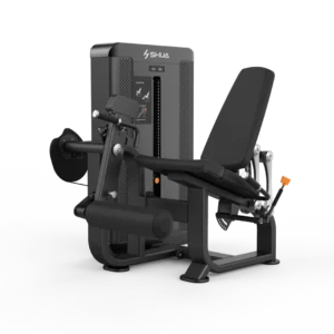 Leg Extension