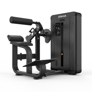 Back Extension