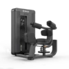 Rotary Torso
