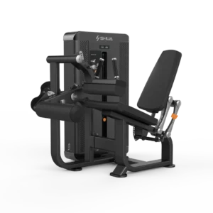 Seated Leg curl