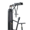 Rear Delt