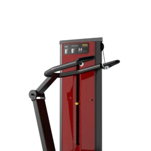 Triceps